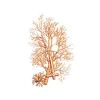Domus Kits 03901 Árbol Grande strom větve